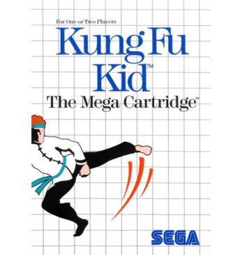 Kung fu kid
