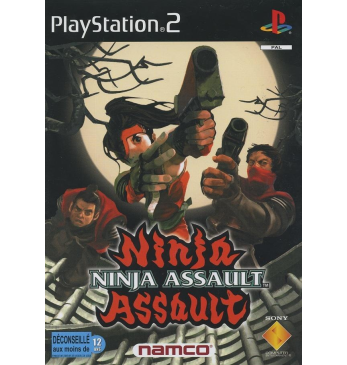 Ninja assault