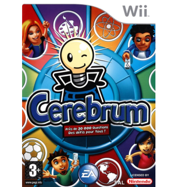 Cerebrum